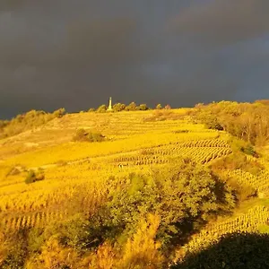 Wine Passion Panoramic Maison d'hôtes Chavanay